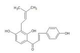 寶雞辰光生物銷售部 專業提供中藥標準品、對照品與植物提取物一站式服務